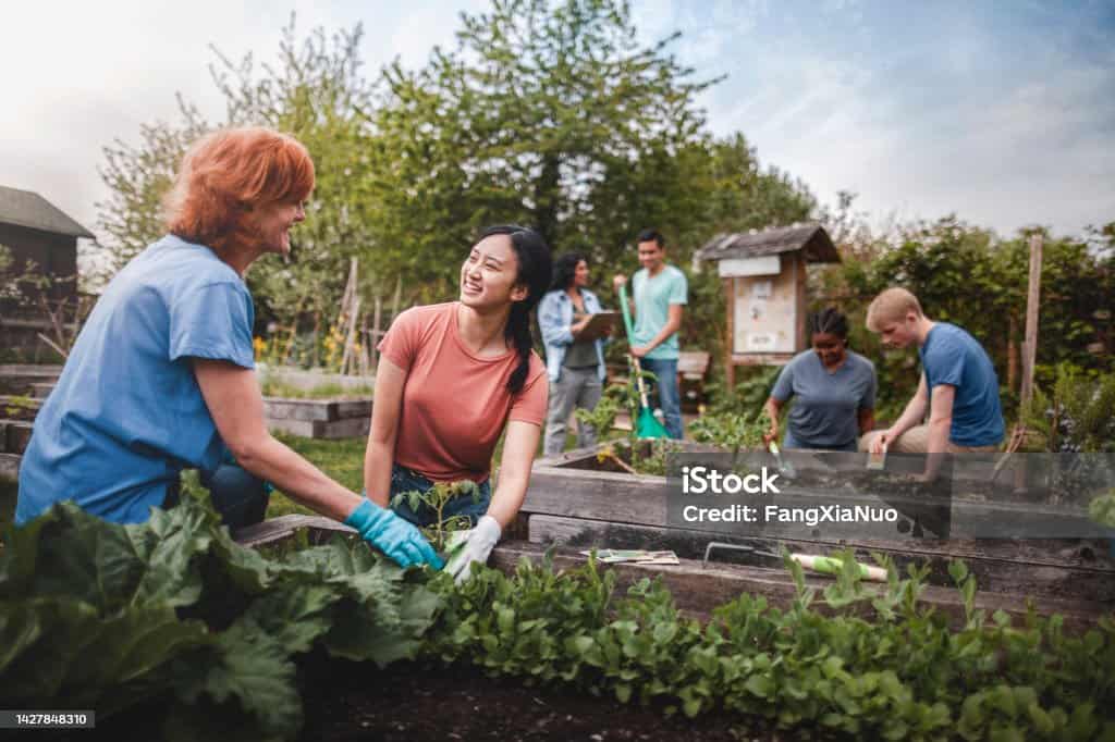 environmental justice and racial justice